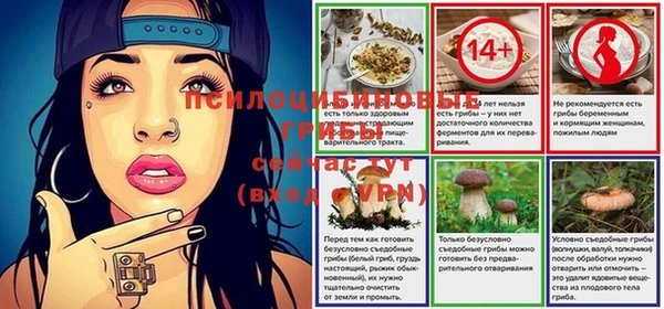 ешки Касимов