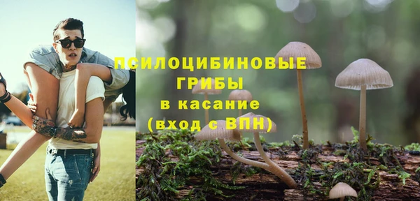 соль ск Карпинск