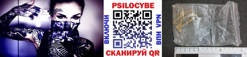 Псилоцибиновые грибы прущие грибы  Купить закладки  Апшеронск 
