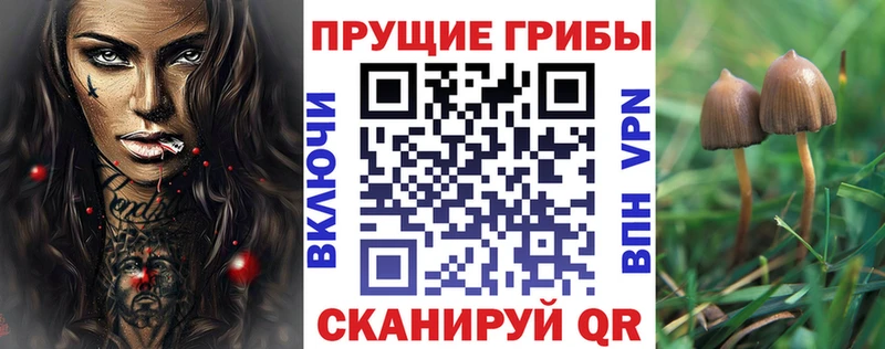 Галлюциногенные грибы Magic Shrooms Апшеронск